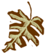 leaf